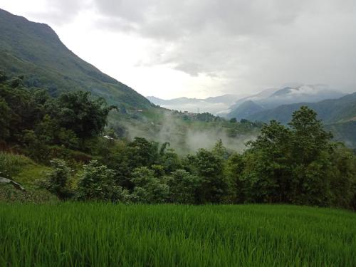 My's Homestay sapa