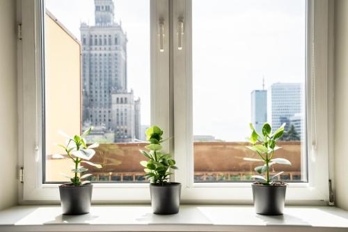★Bright, spacious apartment|Palace of Culture view★, Varšava (fotografie 9)