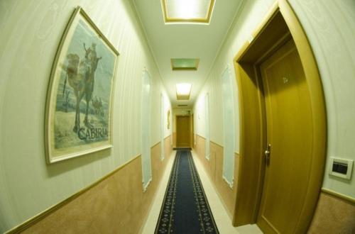Hotel Alba - main image
