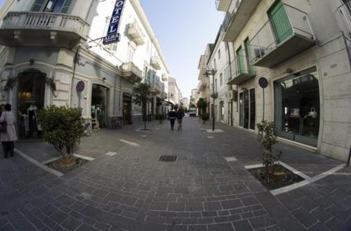 Hotel Alba - image 7