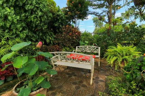 Labuana Homestay and Cafe Garden Makassar - Tap to explore photos
