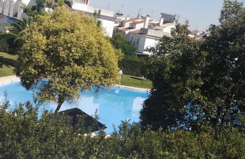  La Casa de Las Flores in Mairena del Aljarafe