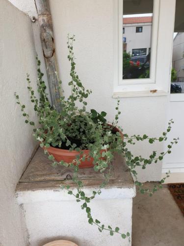  Apartman Centar Josip in Murter