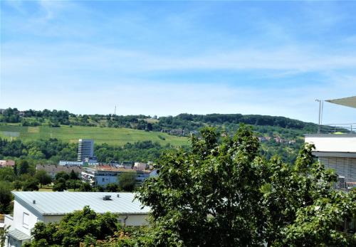 周邊環境, Baselblick in 弗賴堡
