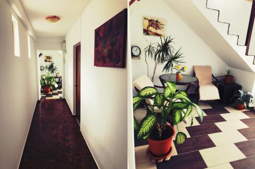 Фойє, Sea View in Костінешть