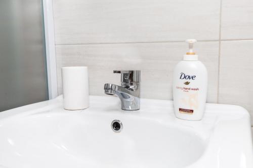 One-Bedroom Apartment image 4