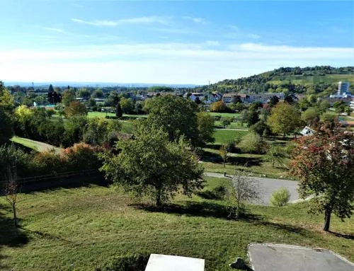 Baselblick in Lörrach, Deutschland