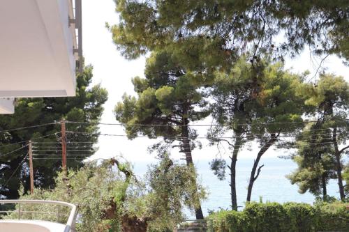  Studio Mathesi in Akti Elia in Elia