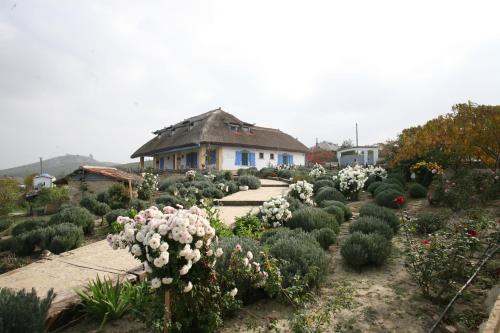 Accommodation in Tulcea
