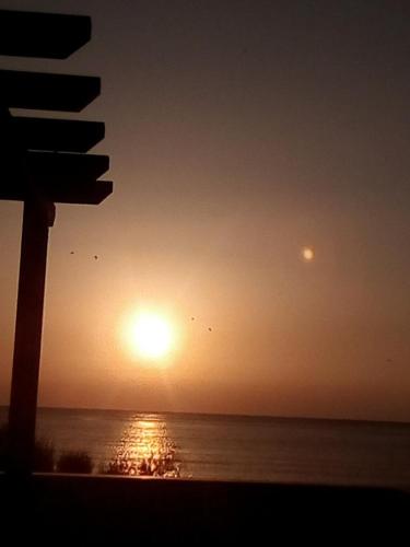  VASILIKOS MESONETES in Petra