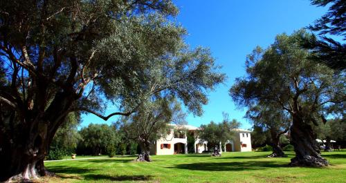  Olivastro Villa in Lefkada