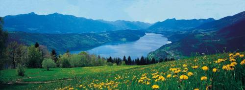 Hotel Lärchenhof - main image