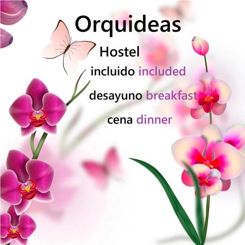Hostal Orquideas