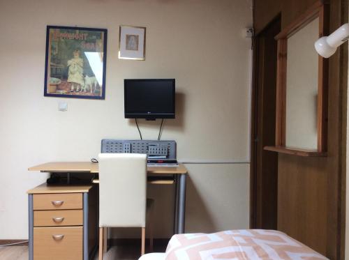 Alpbach Apartments - image 7