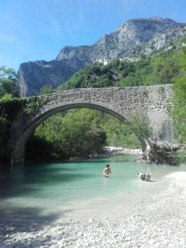 Dome geodesique ou tente bulle in paradise avec piscine photo