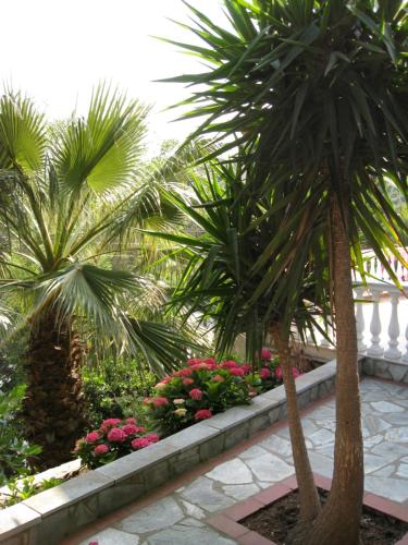  SUMMER SENSES VILLA in Skiathos-Stadt