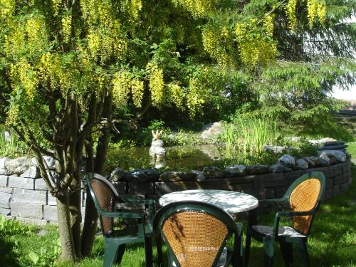 Ambiente Guesthouse – Saas-Fee, MS