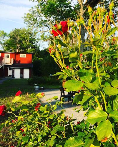 Pensionat Haga Öland - image 14
