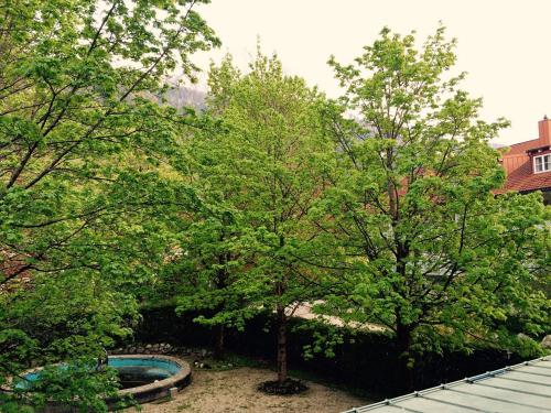 Haus Burg - Pabst Barbara