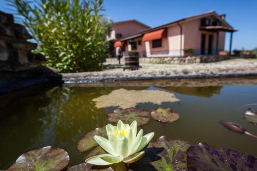 Agriturismo Casale Sasso - image 5