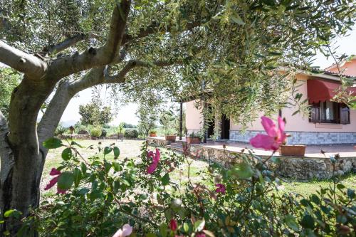 Agriturismo Casale Sasso - image 2