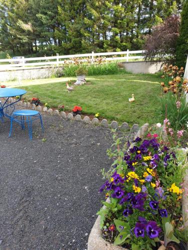 Horizon Aubrac Laguiole in Laguiole