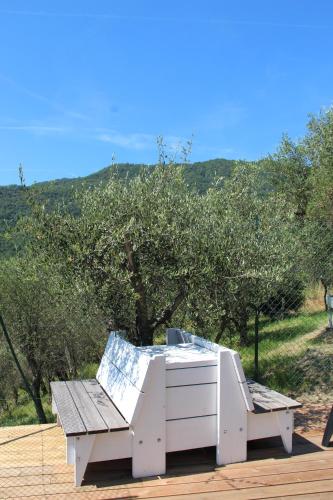 Agriturismo OlivArancio