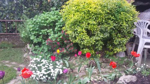  B&B il Patio in Bergamo