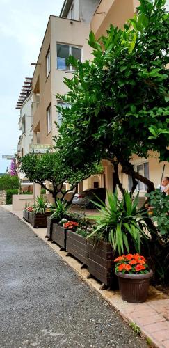 

Apartments Lati