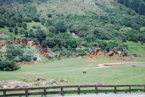 Posada Cabárceno - image 14