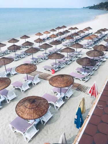 Kert, İSTANBUL YILDIZ HOTEL in Yeniçiftlik