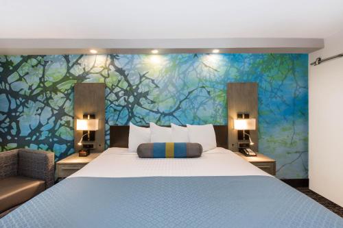 King Room - Mobility Access/Non-Smoking