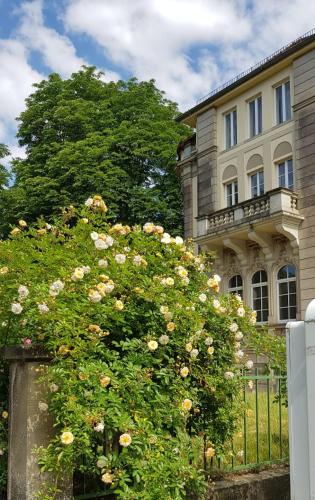 Hotel-Villa Lalee, Dresda