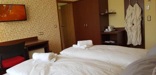 Hotel-Villa Lalee - image 3