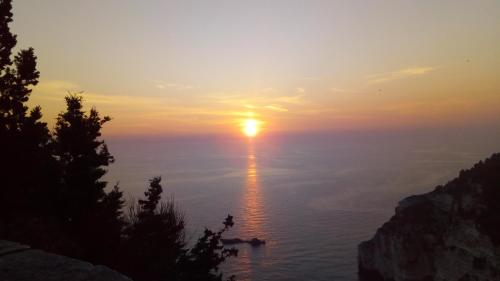 Villa Olive Garden, Kastanida - Paxoi