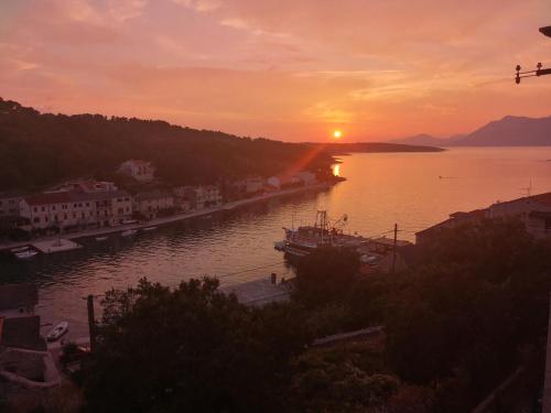 Apartments by the sea Povlja Brac - 708