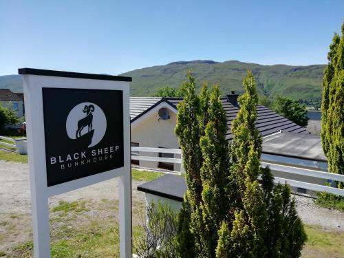 Black Sheep Bunkhouse