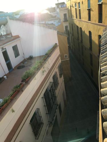 Apartamento en el centro para 4 personas, Sevilla (Foto 5)