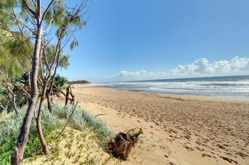 Coolum Street 41 Dicky Beach photo 4