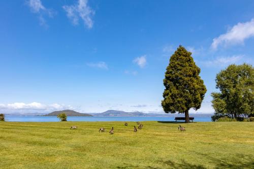 Ramada Resort By Wyndham Rotorua Marama - image 5