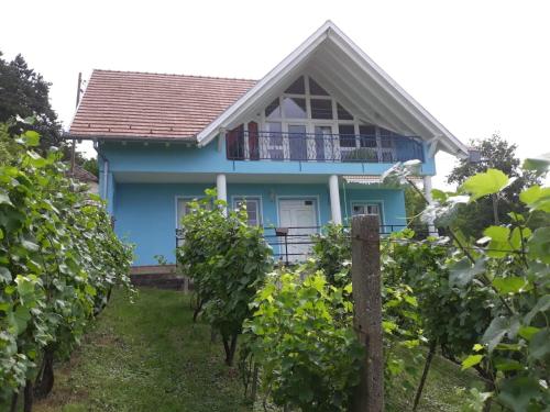  Pince Haz in Szederkény