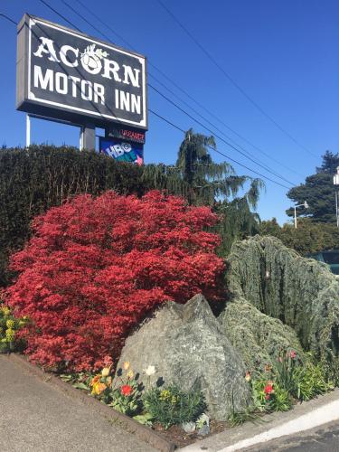 Acorn Motor Inn