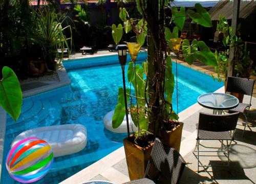 Swimming pool, Colours Oasis Resort LGTBIQ Plus Property in Pavas