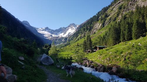 Eberl´s Zirbenlodge in Finkenberg