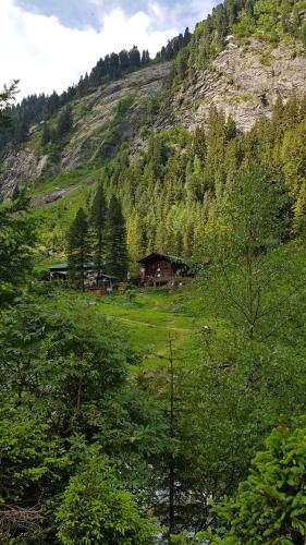 Eberl´s Zirbenlodge in Finkenberg