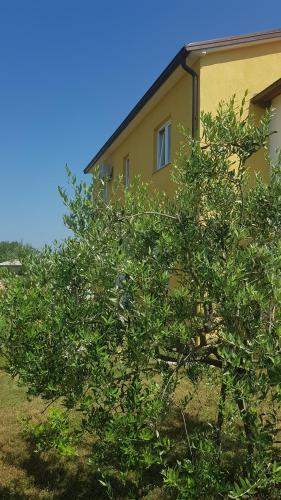  App Antonio in Kanfanar