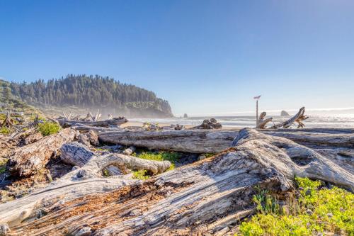 Cape Meares Overlook - image 3