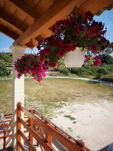  Apartment Alexis Armeno in Marathias