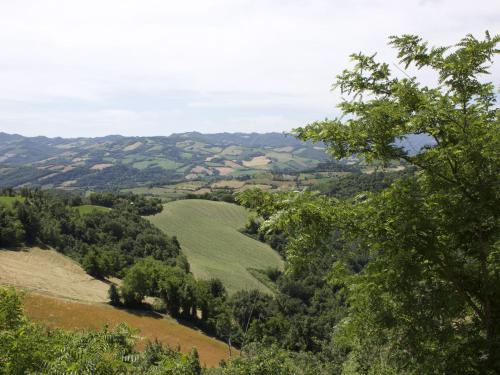 Modern Apartment in Emilia-Romagna near the forest