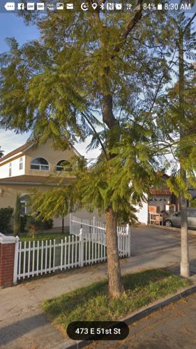 Cynnies Home in Long Beach, USA
